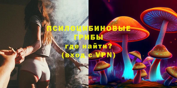 гидропоника Аркадак