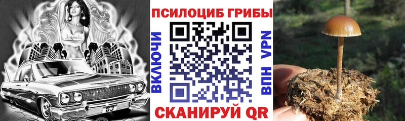 Псилоцибиновые грибы прущие грибы даркнет формула Гуково